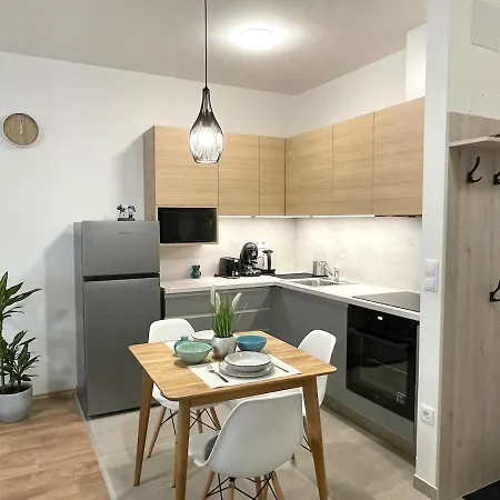Daire Comfy Flat In The Centre With Free Parking Budapeşte